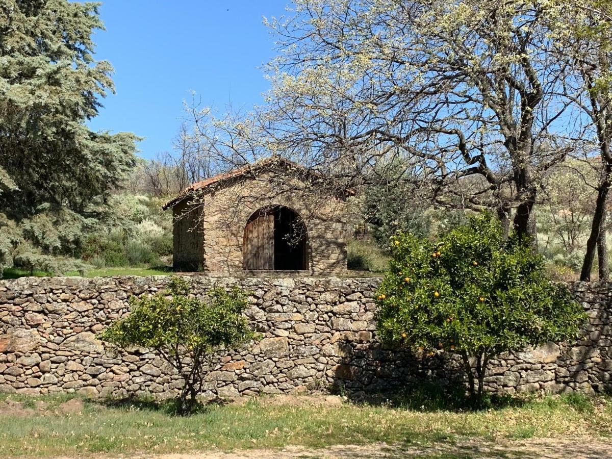 Casa Rural Los Robles 阿塞沃 外观 照片